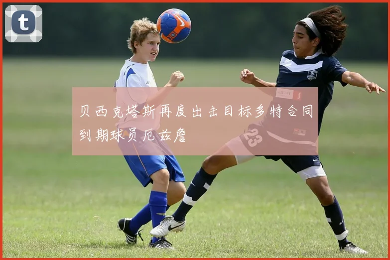 贝西克塔斯再度出击目标多特合同到期球员厄兹詹